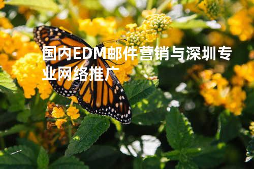 国内EDM邮件营销与深圳专业网络推广