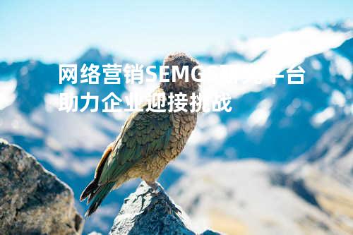 网络营销SEM.GS研究平台助力企业迎接挑战