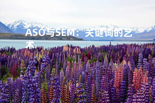 ASO与SEM：关键词的艺术