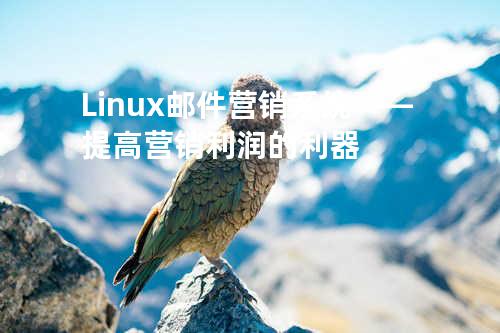 Linux邮件营销系统——提高营销利润的利器